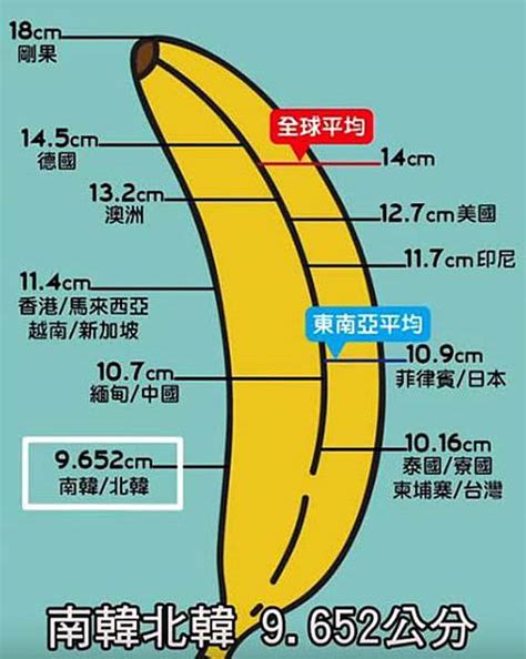 勃起長度|人類陰莖尺寸